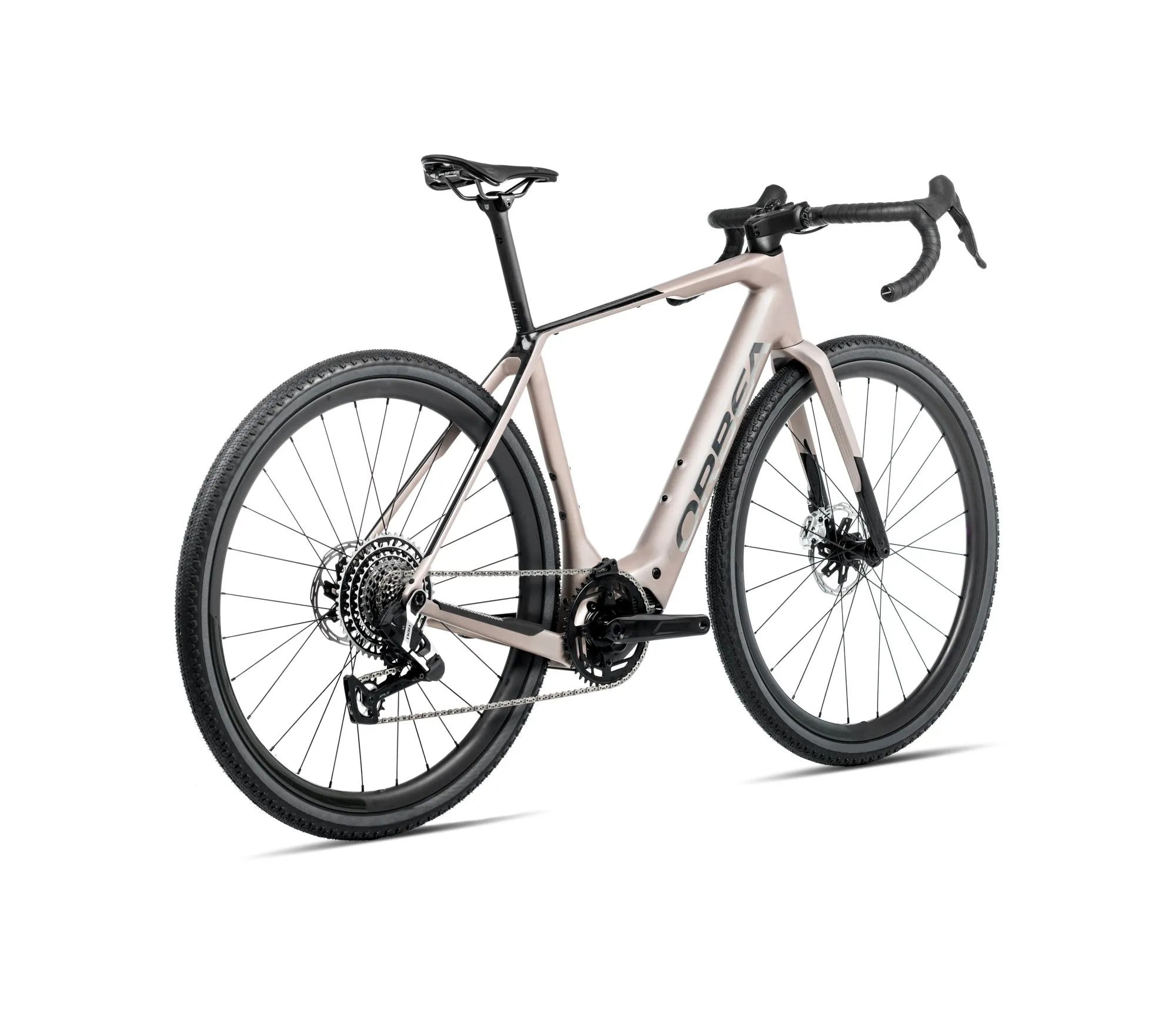 S381TTCC-RC-BACK-DENNA_M11e