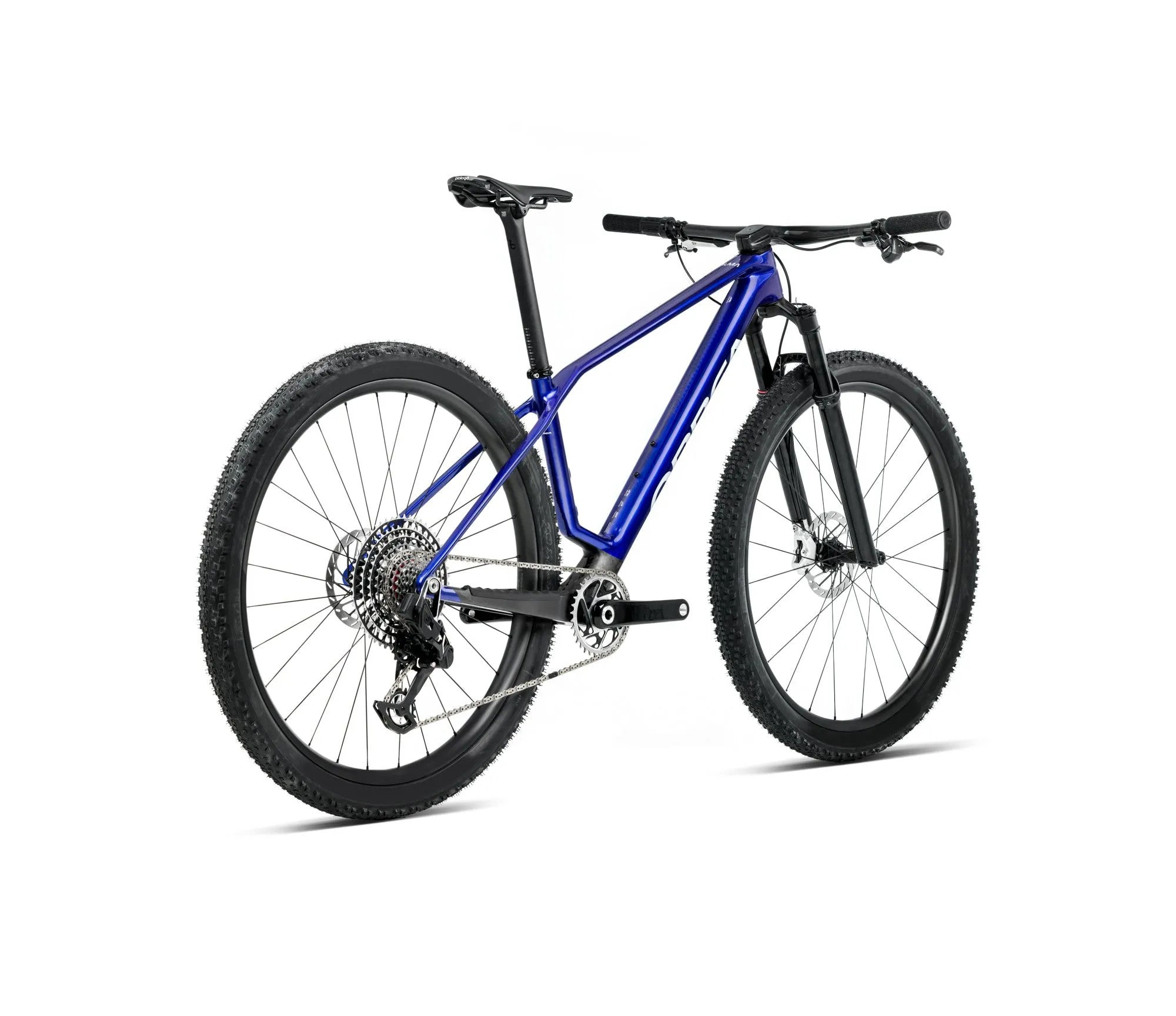T218TTCC-F8-BACK-ALMA_MLTD