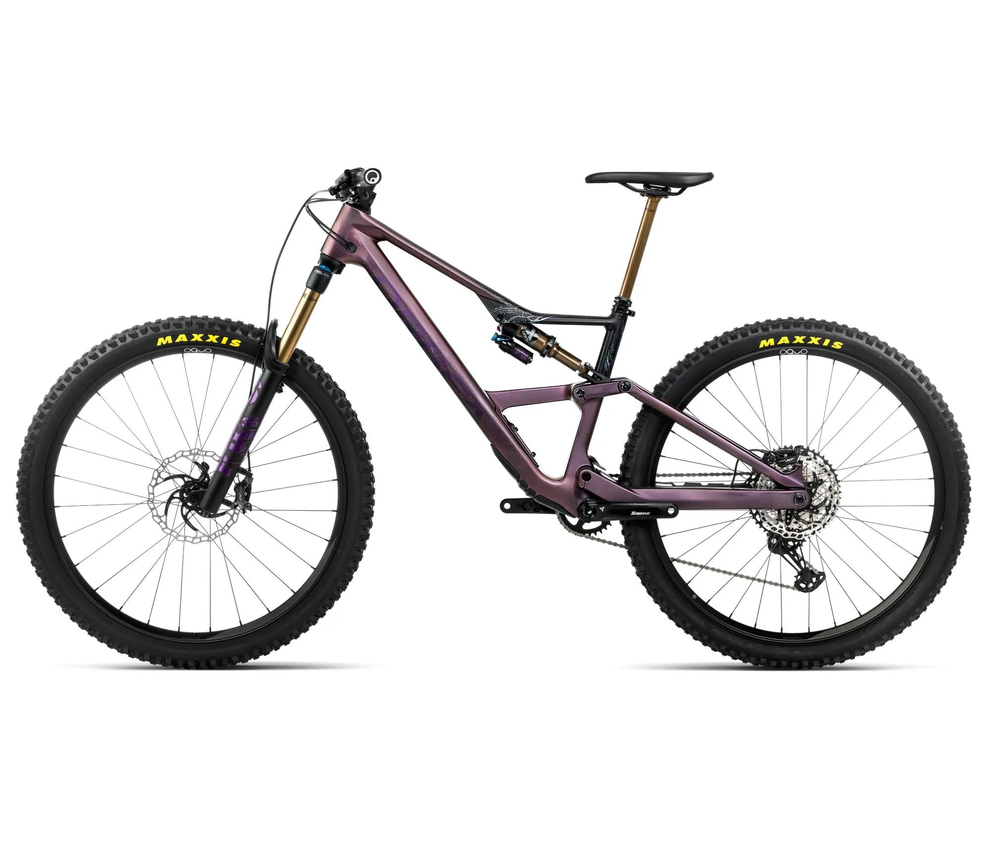 T248TTCC-M3-SIDE2-OCCAM_LT_M10