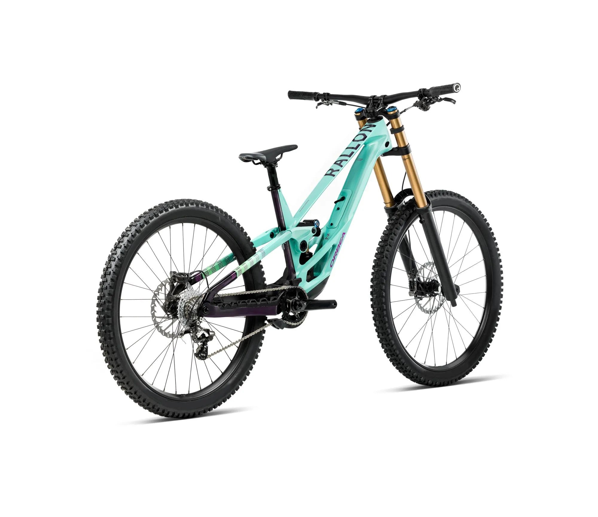 T255TTCC-M7-BACK-RALLON_DH_LTD