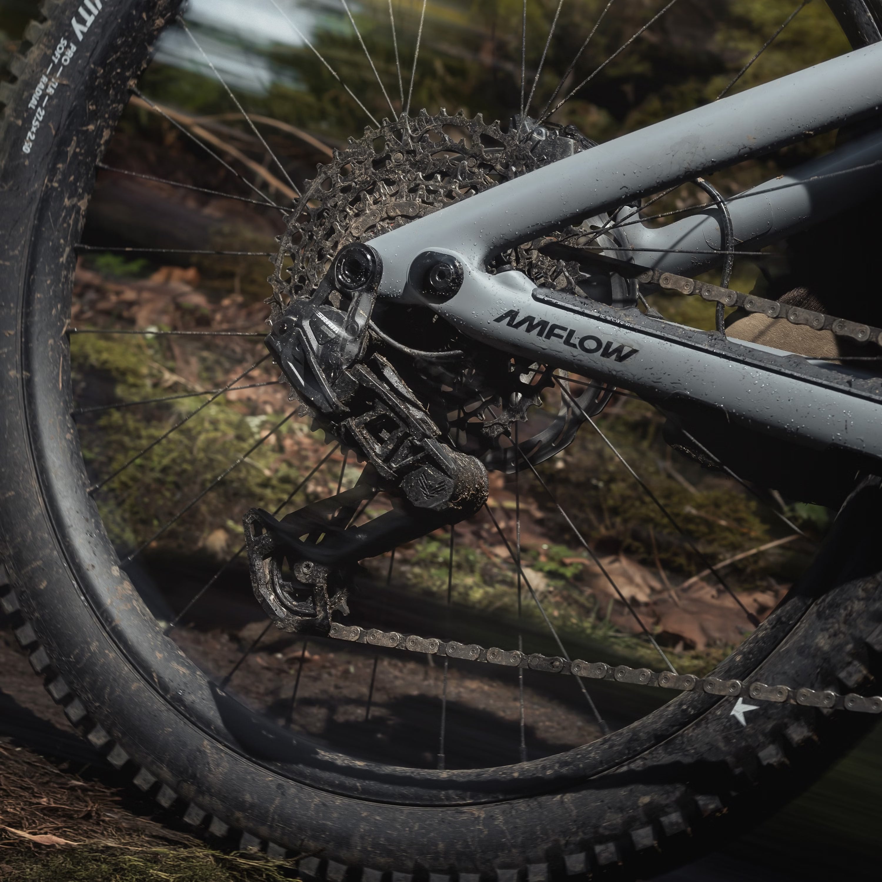 Amflow PR Carbon Pro EU 800Wh Battery Mullet Gris Basalto #4