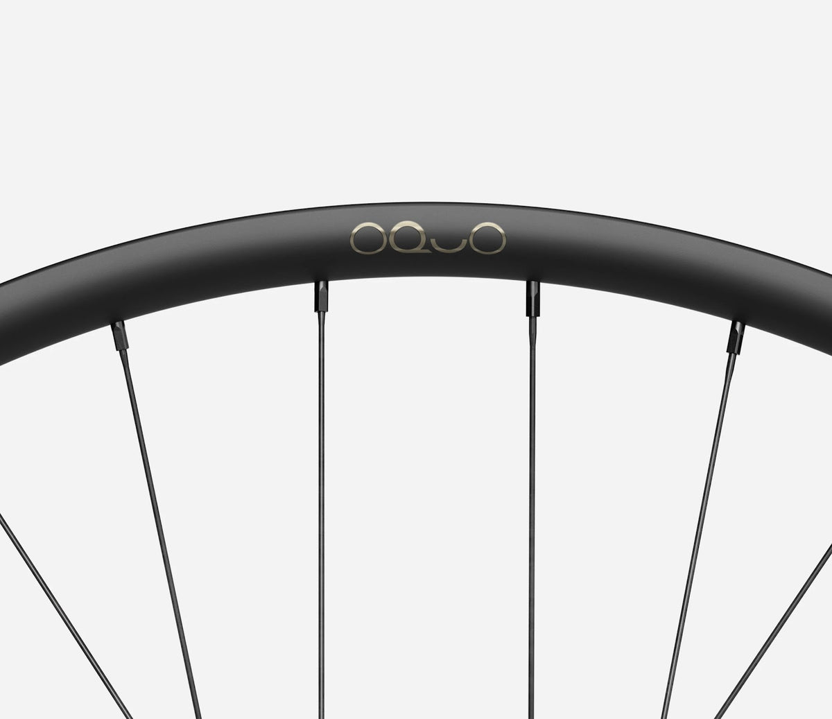 O2420037