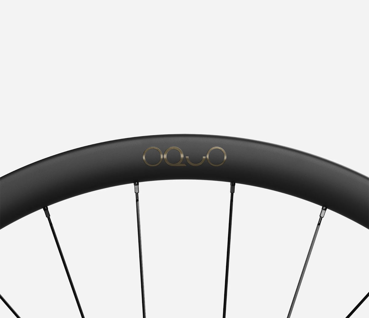 O1600037