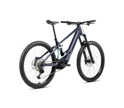 S344TTCC-SN-BACK-WILD_H10