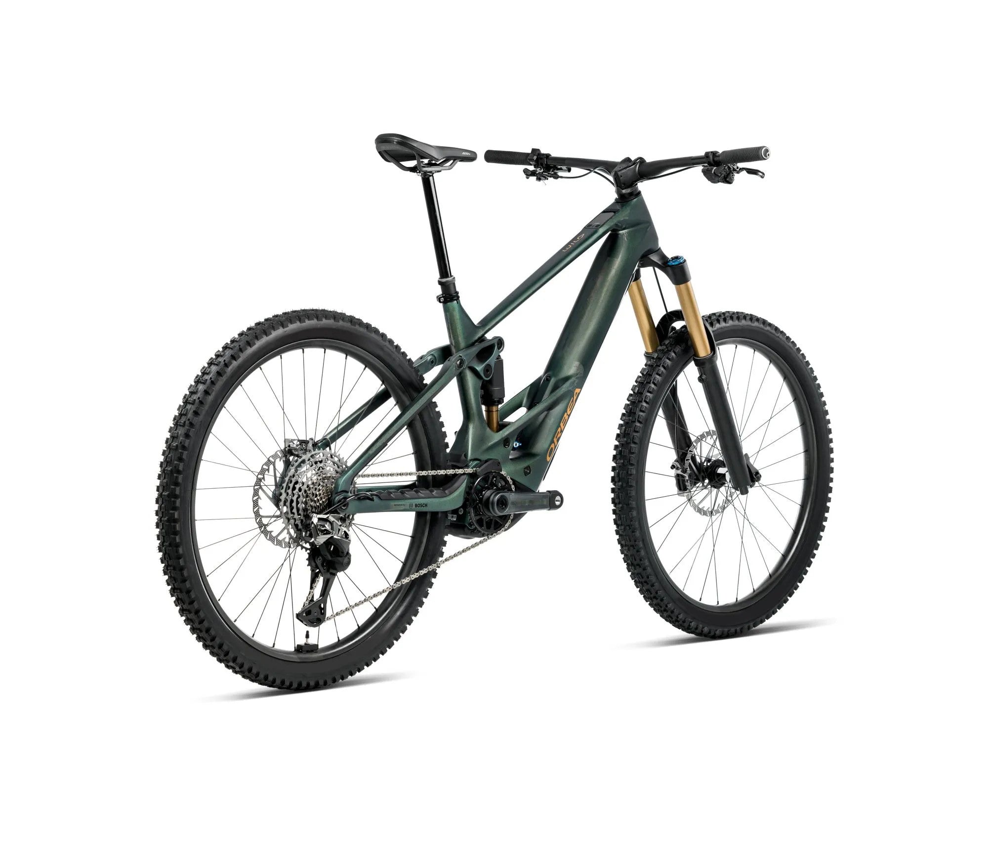 T348TTCC-X4-BACK-WILD_MLTD