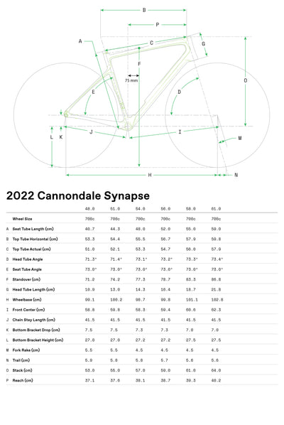 Bicicletas Carretera Synapse Carbon 2 RLE Cannondale 2024 Cool Mint #8