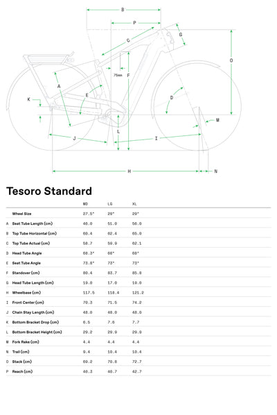 Cannondale Tesoro 2 HeadShok Mullet 2026 Storm Cloud #3