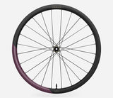 Oquo Roue Arrière Gravel RP35LTD Shimano HG Metallic Mulberry